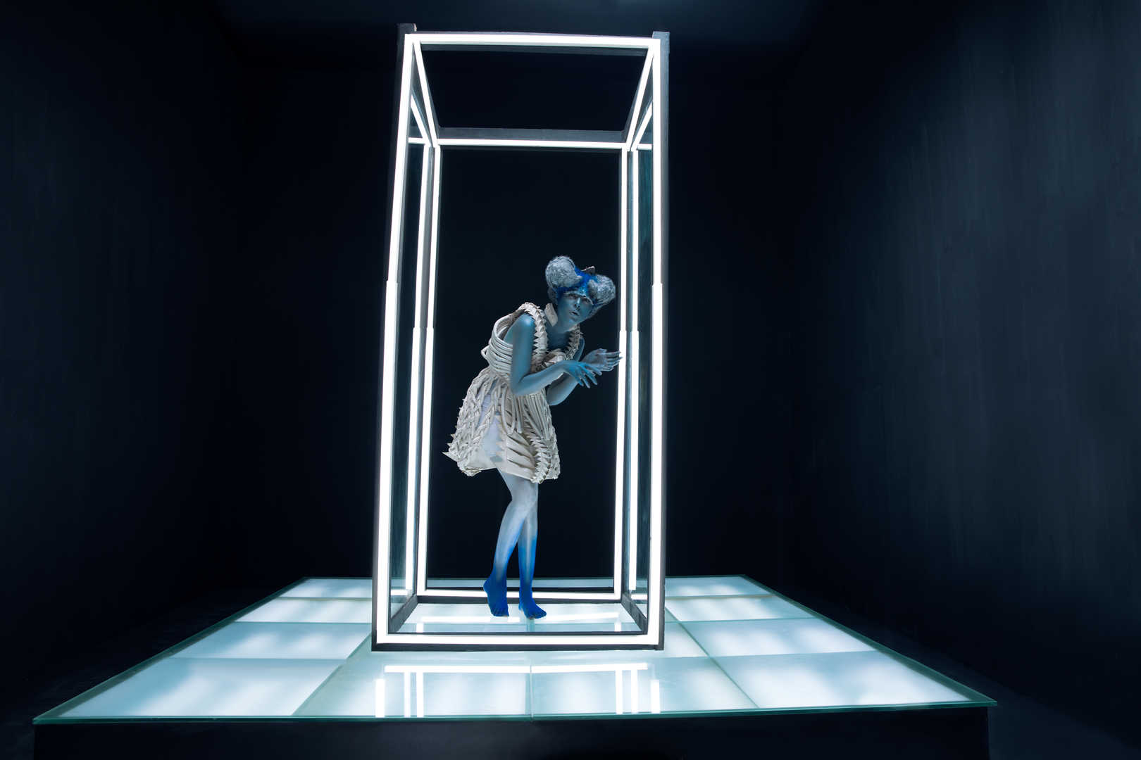 Hover Image